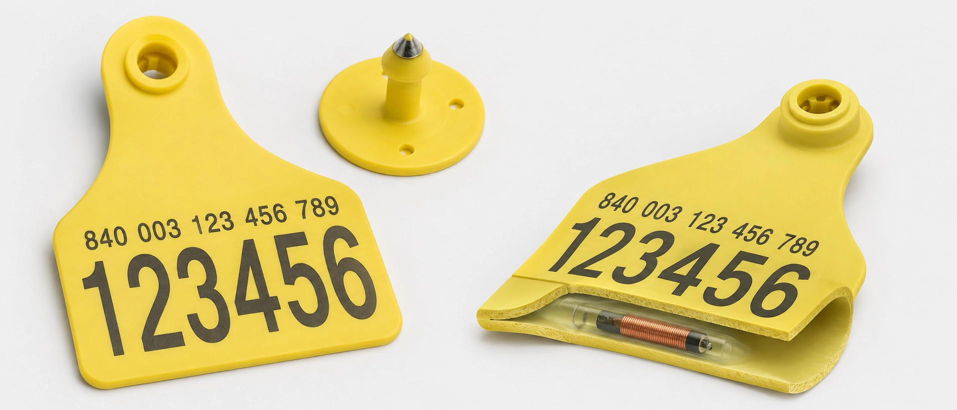 Two-piece flexible TPU electronic ear tags for cattle with laser printed visual numbers and internal RFID transponder chip Two-piece flexible TPU electronic ear tags for cattle with laser printed visual numbers and internal RFID transponder chip